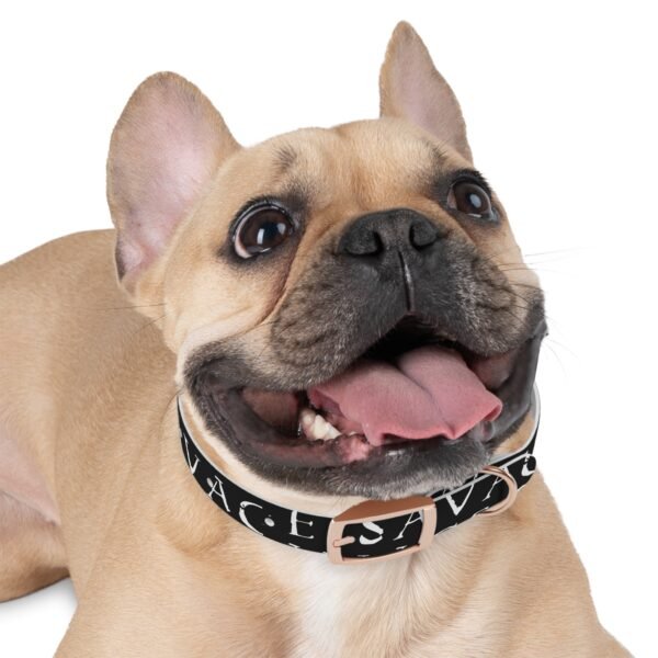 Savage Dog Collar - Image 9
