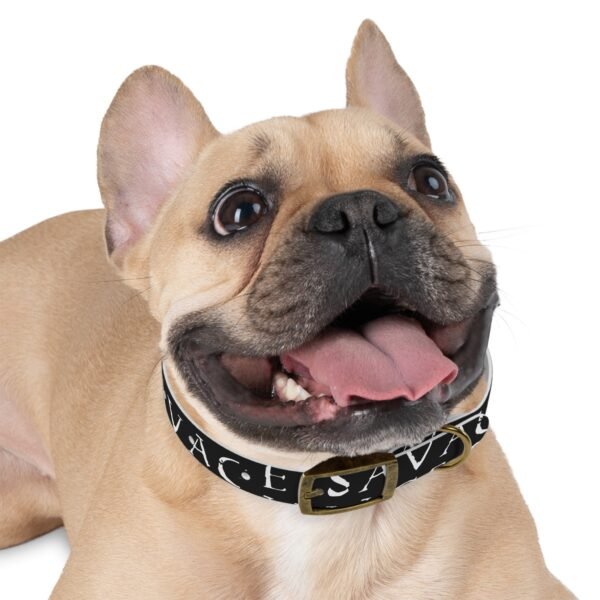 Savage Dog Collar - Image 12