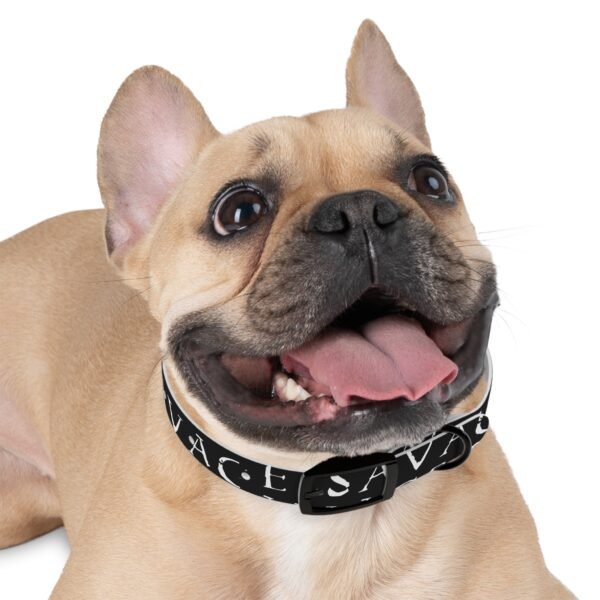 Savage Dog Collar - Image 3