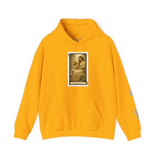 Temperance Heavy Blend™ Hooded Sweatshirt - Image 13